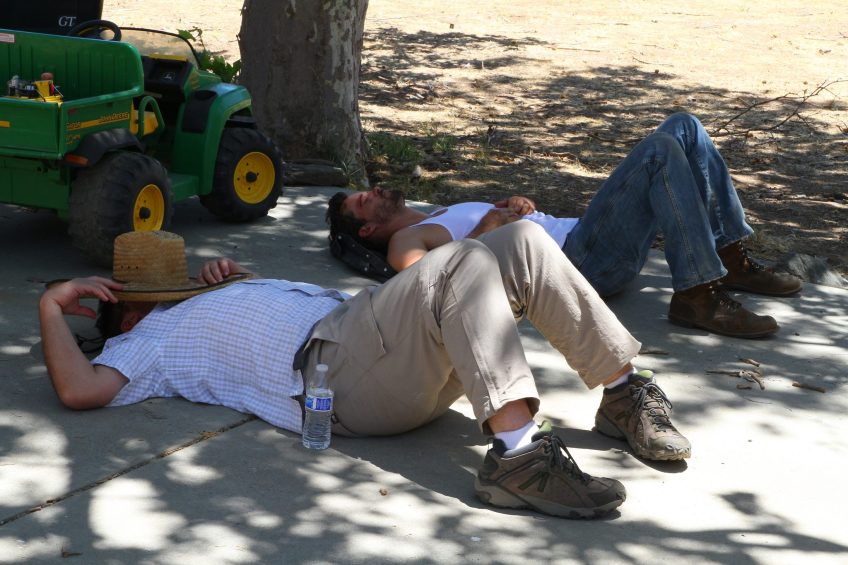 austin nichols, san patricios, san patricios film