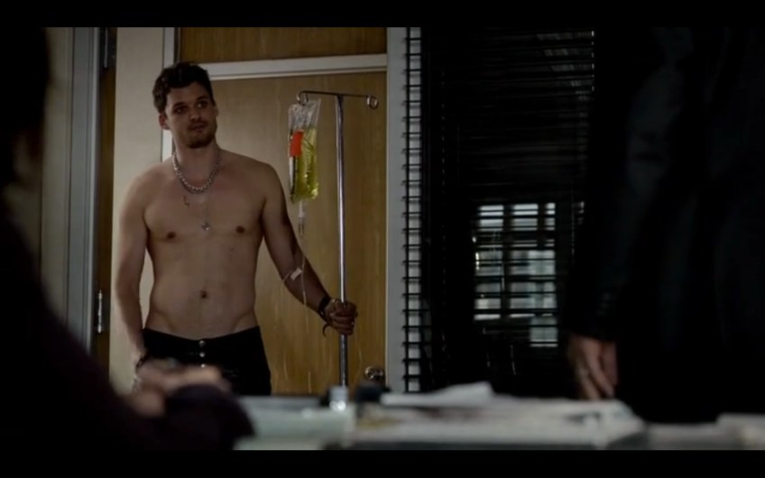 austin nichols, ray donovan, tommy wheeler