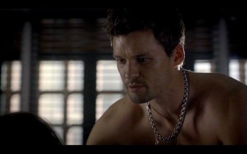 austin nichols, ray donovan, tommy wheeler