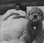 Austin Nichols, Chloe Bennet,